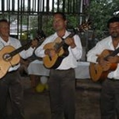 Trío Alma Puriscaleña