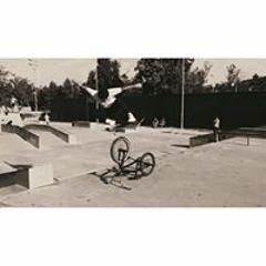 Darwin Hernandez Techy