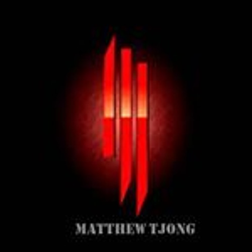 Matthew Tjong’s avatar