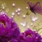 user335209476