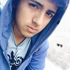 Alejandro A Howk Wings