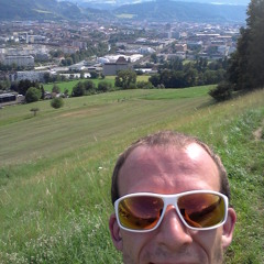 Mario Alis Der Gärtner