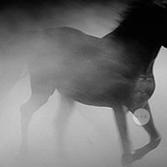 G.O.D-Gaining One's Definition