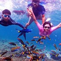 Vineesh Chandra Segaran