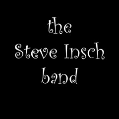 The Steve Insch Band