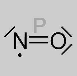 P-NOx podcast artwork