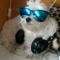 MrBimbo