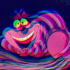 Guillaume Bonnel-aillot