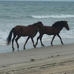 Jennifer Reho-Zimmerman