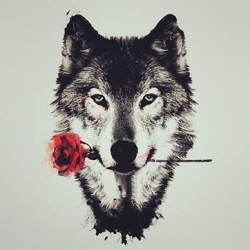 WolfLovesMusic’s avatar