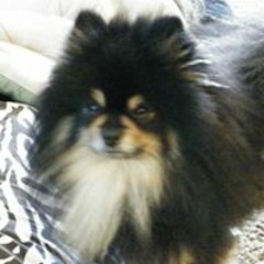 Shannin Weatherby Earls