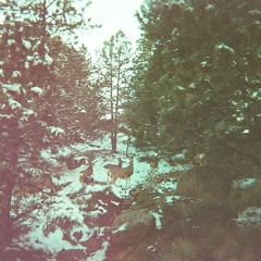 Hey! That's My Prius!