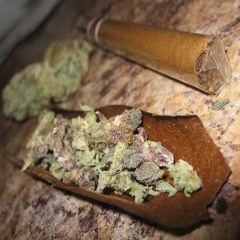 Emilio'Locz Gallegos