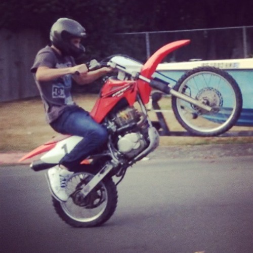 Immigrantz - Shake It