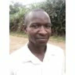 Zangu