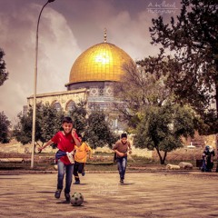 عمار الشريعى :)