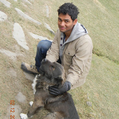 Abhishek Mandal