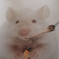 Kool Game and the Unsung Heroes