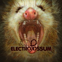 ElectroPossum