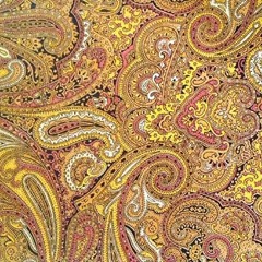 Paisley 69