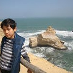 Ricardo Farid Cuentas