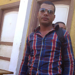 ahmed Elhawary