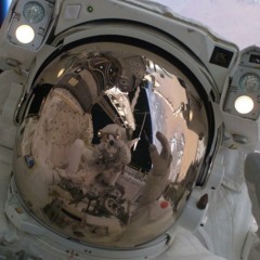 lotusastronaut