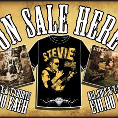 stevieoneblokeonemandolin