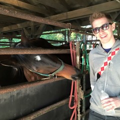 Game of Thrones Theme Cover