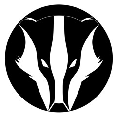 BADGERSBROTHERS