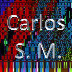 Carlos S. M.