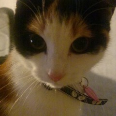 Crossfade - Colors (Intro Cover) #1