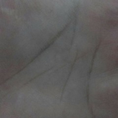 Majid