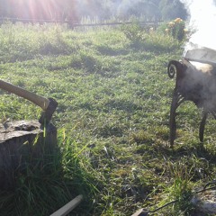 Konstantin Kostitsin