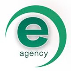 Embodied Agency
