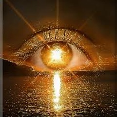 Free Style Money Life