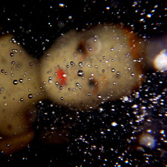 Bear Sausage Swallow