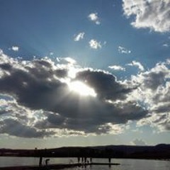 Jennifer Fischer Barnes