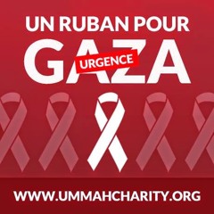 user532576542