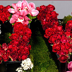 Shaheryar