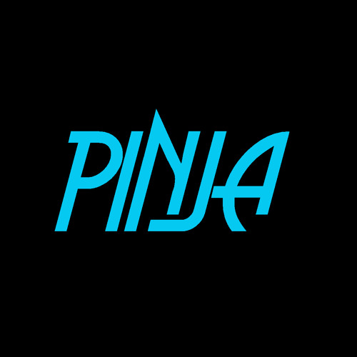 PINJA DJs’s avatar
