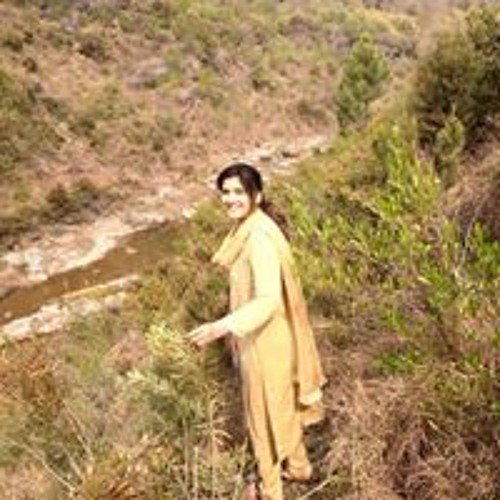 Maleha Javed’s avatar