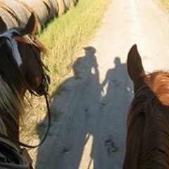 Alexis McLean Marino