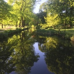 Tom Ollendorff Music