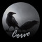 Corvo