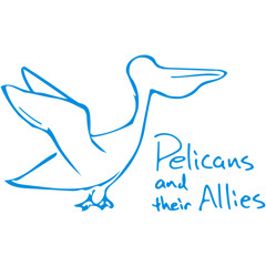 PelicansAndTheirAllies