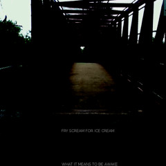 Fry Scream For Ice Cream