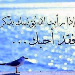 Ali Elsemaey