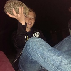 Ramon van der Putten