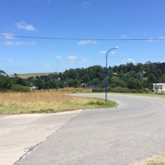 Alejandro Javier Meneses